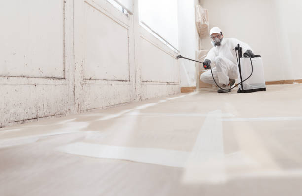 24/7 Emergency Black Mold Remediation experts in Forest Park, IL